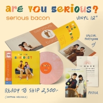 Vinyl Album Are you Serious - SRBC