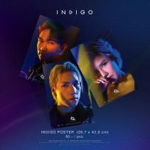 INDIGO POSTER